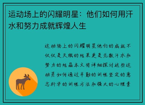 运动场上的闪耀明星：他们如何用汗水和努力成就辉煌人生